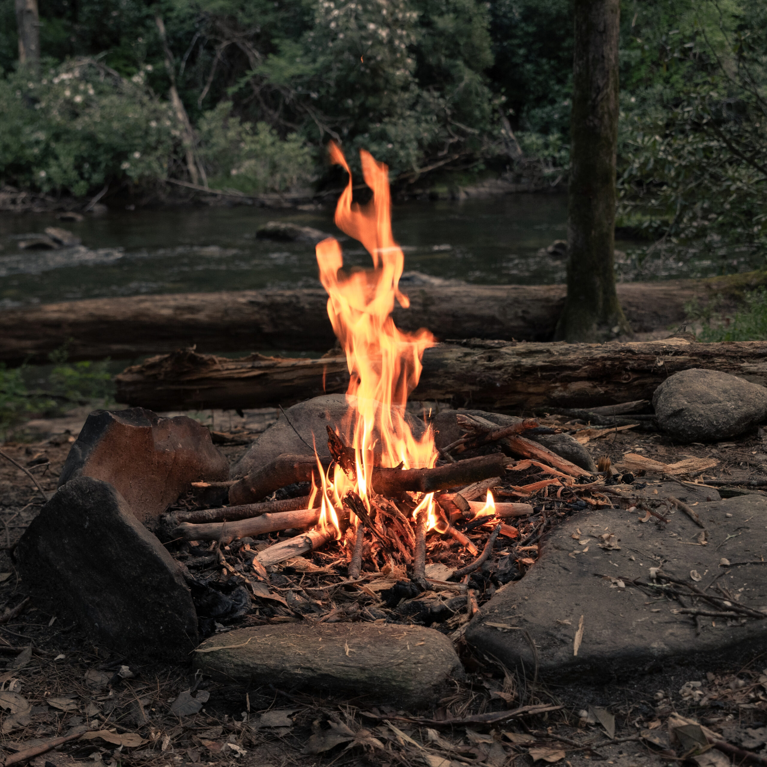campfire-surrounded-by-greenery-rocks-with-river-forest campfire-surrounded-by-greenery-rocks-with-river-forest