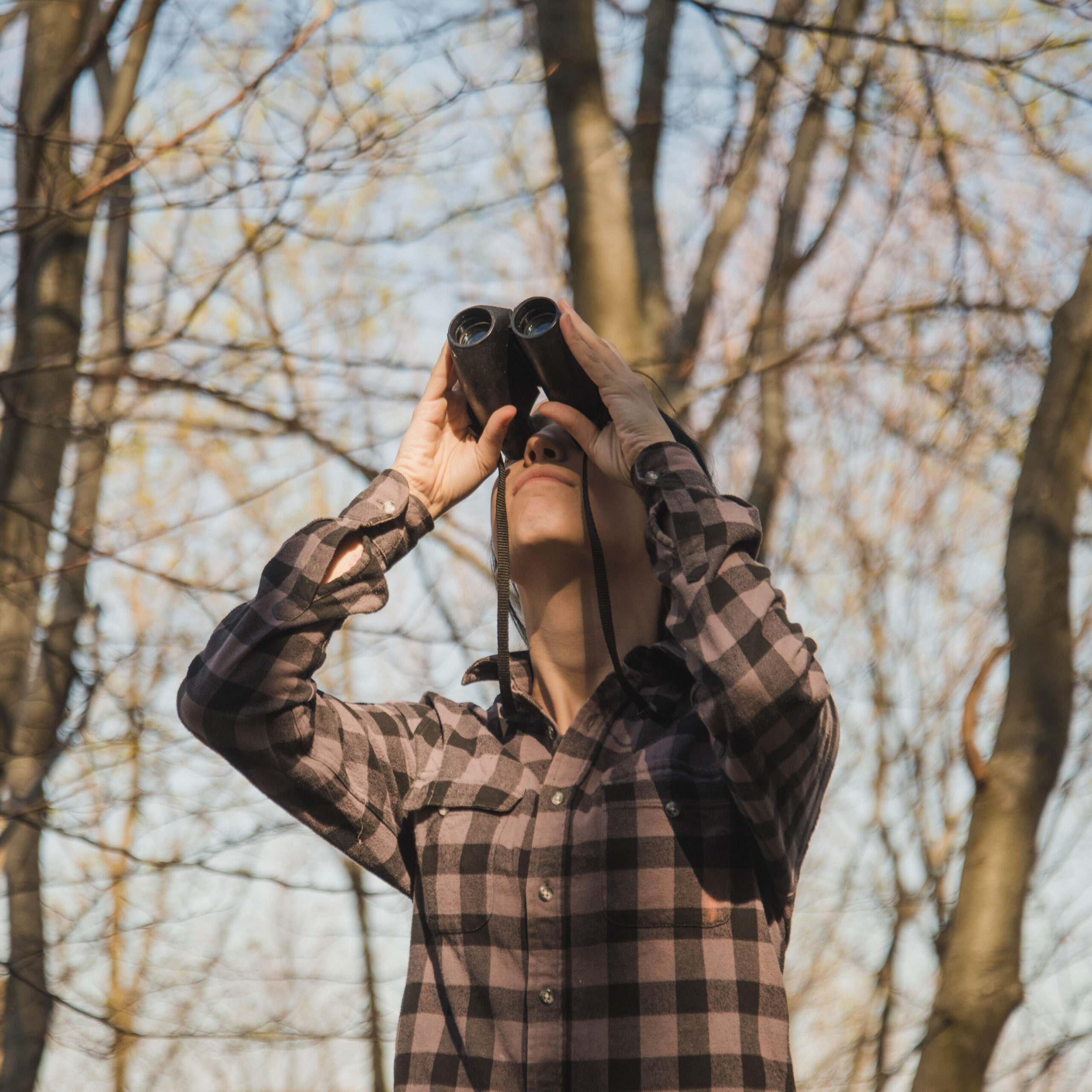 concentrated-traveler-using-binoculars concentrated-traveler-using-binoculars